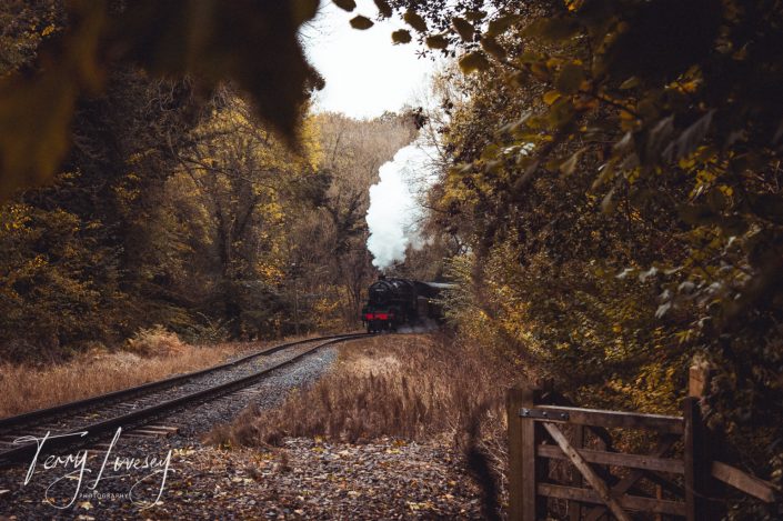 A steam train travels along a curved railway track through a forest with autumn-coloured leaves; steam billows above the train, and a wooden gate appears in the bottom right corner.