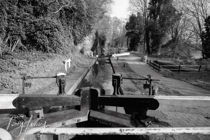 Black and white photo of a canal lock with wooden gates and mechanisms, flanked by a footpath and overgrown trees. The scene is calm and peaceful, with the canal stretching into the distance.