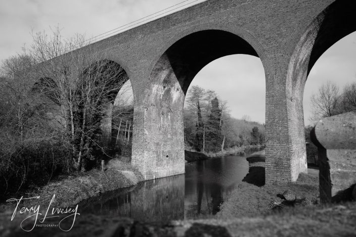 A black and white photo of a tall brick railway viaduct crossing over a calm river, surrounded by leafless trees and grassy banks. The arches and their reflections are clearly visible.