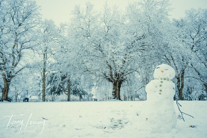 A snowman with stick arms and a carrot nose stands in a snowy park, surrounded by frost-covered trees under a pale, overcast sky. Snow blankets the ground, creating a serene winter scene.