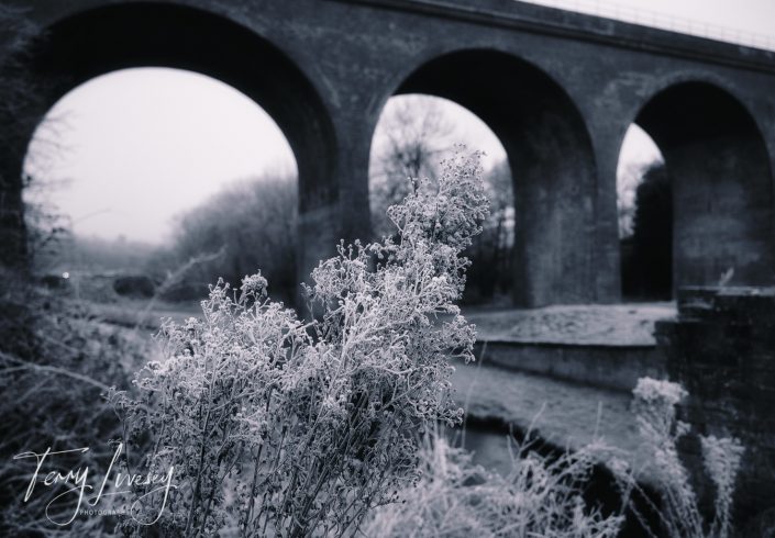 Frost-covered plants in the foreground with a large stone viaduct featuring three arches in the background on a cold, misty day.