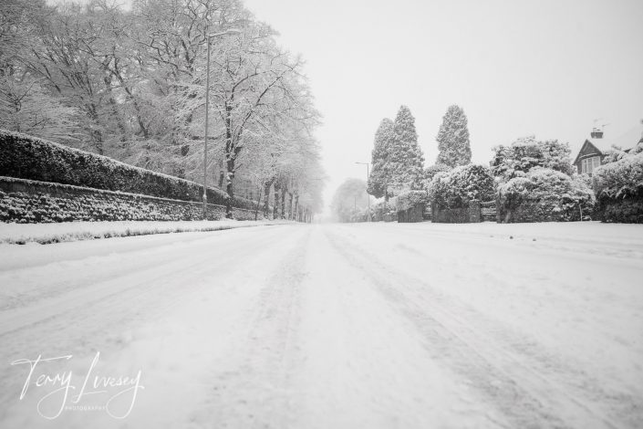 A snow-covered road lined with trees and hedges on both sides, creating a quiet, wintry scene. Snow blankets the ground, trees, and houses, giving a peaceful, empty, and serene atmosphere.