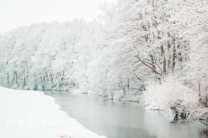 A serene winter landscape with snow-covered trees lining the banks of a calm river under an overcast sky. The snow blankets the ground and branches, creating a peaceful, white scene.