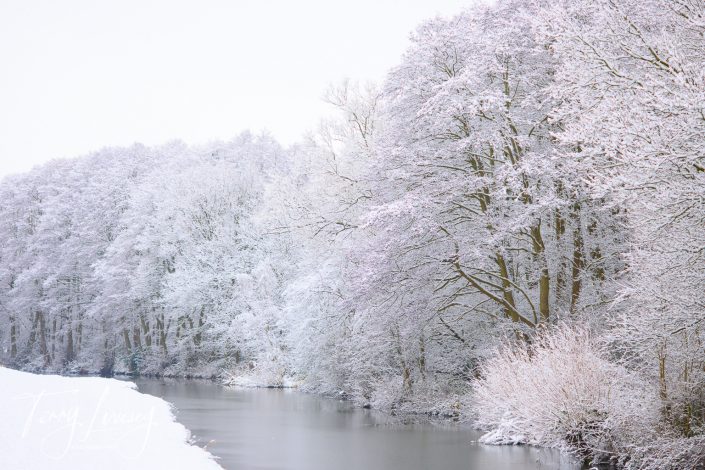 A tranquil river winds through a snowy landscape, bordered by trees covered in thick, white frost beneath an overcast sky, creating a serene winter scene.
