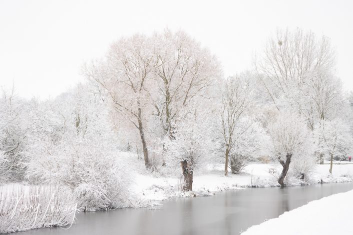 Snow-covered trees line the banks of a calm river on a winter's day, with white snow blanketing the ground and branches, creating a serene, frosty landscape under an overcast sky.