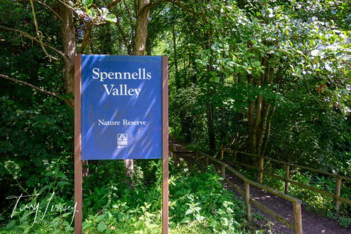 A blue sign reading Spennells Valley Nature Reserve stands at the entrance to a shaded, wooded path with lush green trees and plants on both sides.