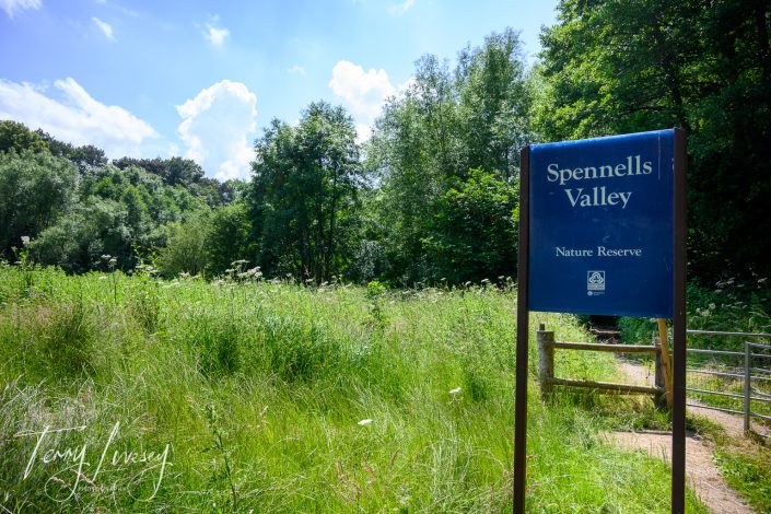 A blue sign reading “Spennells Valley Nature Reserve” stands at the edge of a sunlit path surrounded by tall green grass and dense trees under a partly cloudy sky.