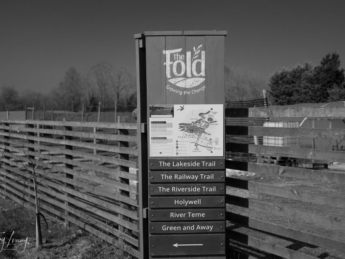 The Fold