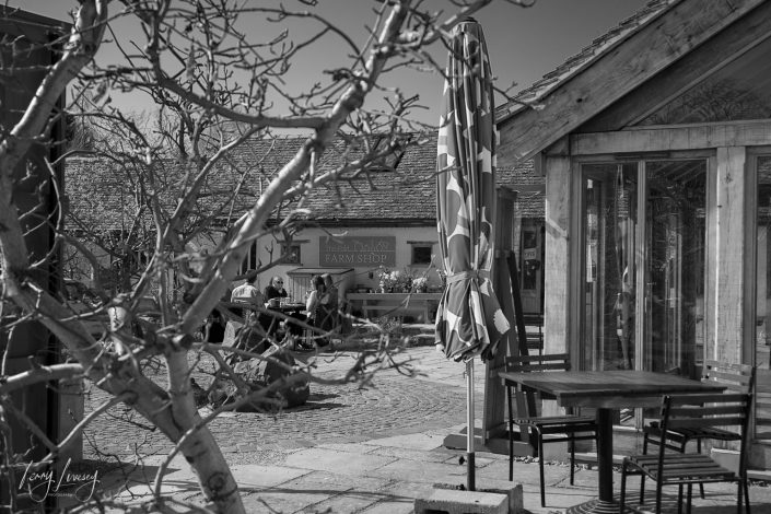 Black and white photo of an outdoor café area with empty tables and chairs, a closed umbrella, and a leafless tree in the foreground. In the background, people sit near a building labelled “Farm Shop”.