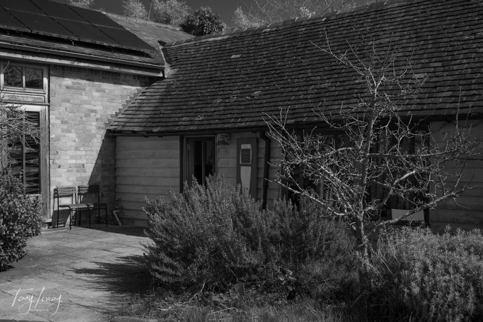 A black-and-white photo of a rustic house with a tiled roof, partially open door, patio chairs, leafless tree, and dense shrubs in the foreground. Sunlight creates sharp contrasts on the building.