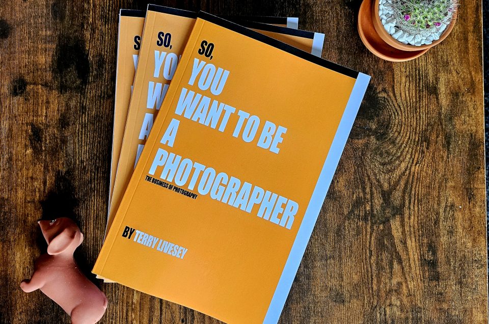 Three copies of So You Want to Be a Photographer by Terry Livesey are stacked on a wooden table, perfect for anyone passionate about photography. Nearby sits a small cactus in a pot and an adorable toy pig.