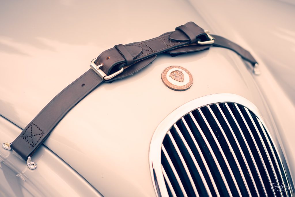 Close-up photography of a classic car bonnet, featuring a leather strap with buckles, an emblem with a feline face, and a chrome vertical grille on a glossy light-coloured surface.