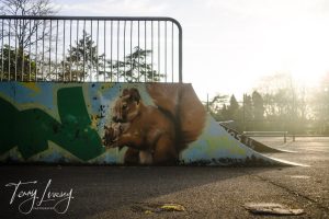 A skatepark ramp decorated with graffiti featuring a squirrel. Metal railings and trees are in the background.