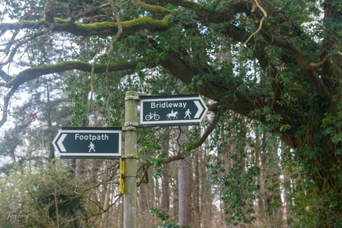 Footpage and Bridlepath sign with trees in the background