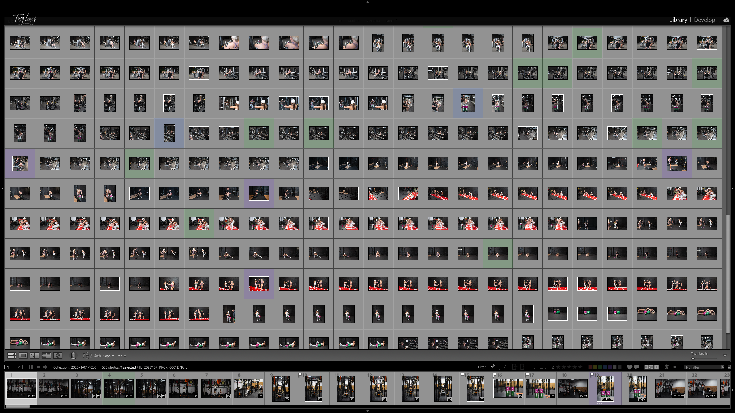 Screenshot of Lightroom library with a full set of images