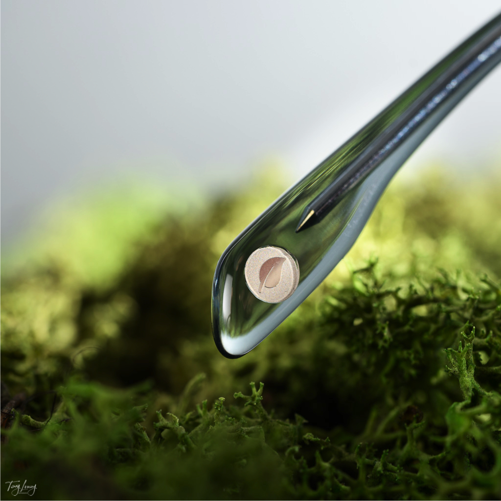 Arm of glasses with a leaf logo with a green moss background